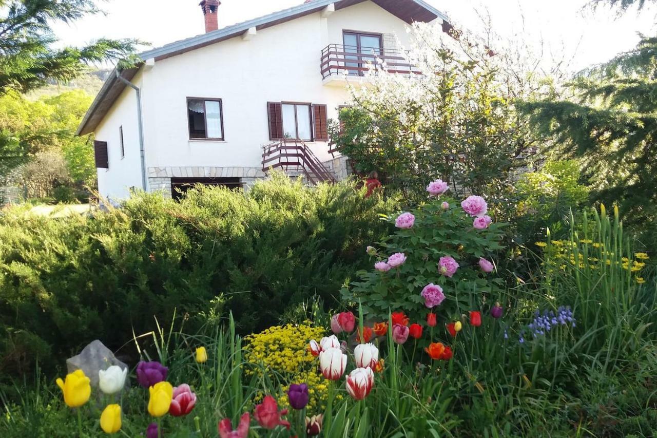 Kuca Sonja Villa Vranje Exterior foto